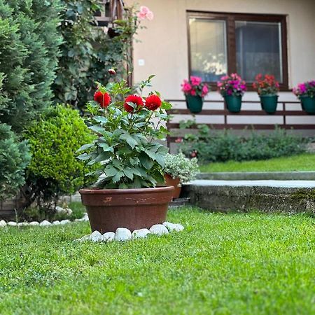 City Centar Apartman Сараево Экстерьер фото